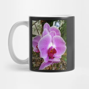 Lavender Orchid Petals Mug